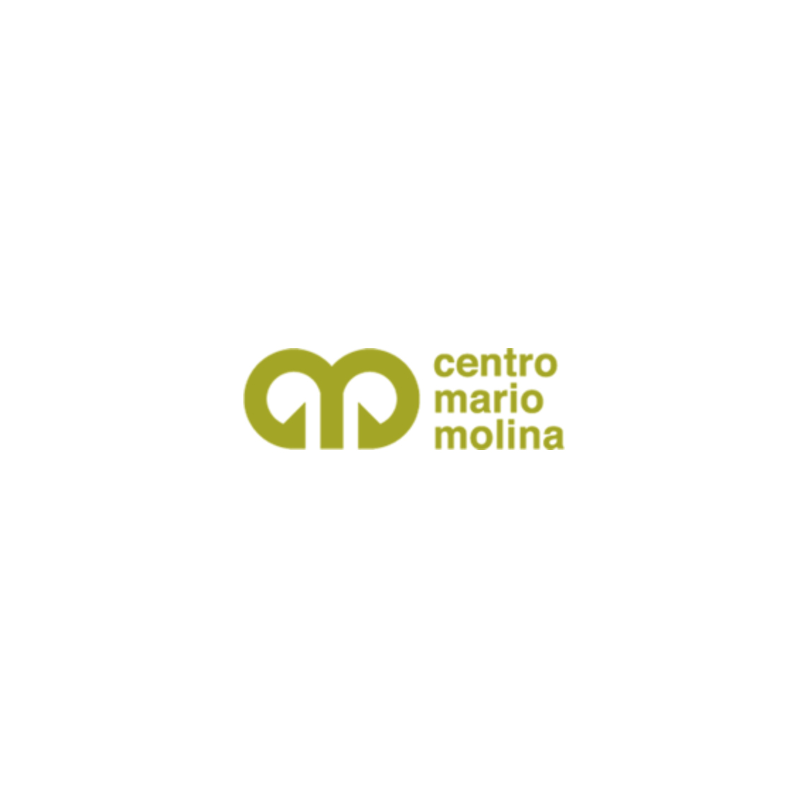 Centro Mario Molina para Estudios Estratégicos sobre Energía y Medio Ambiente A.C.
