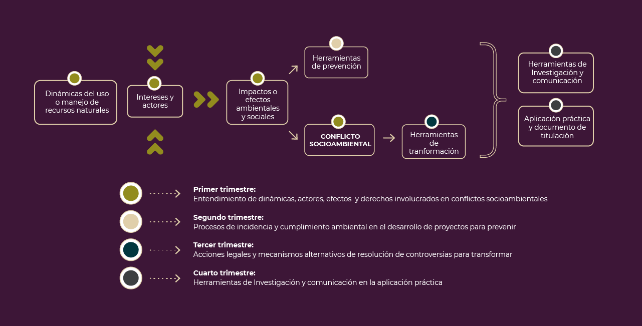 Especialidad en Incidencia en Conflictos Socioambientales
