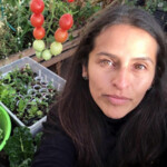Magnolia Magos Fuentes