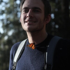 Daniel Behn