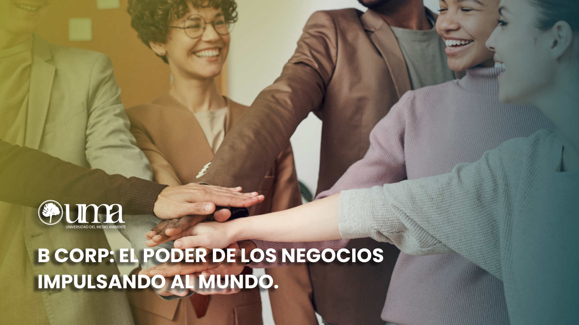 B Corp: el poder de los negocios impulsando al mundo.