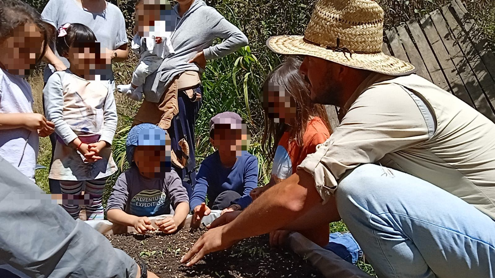 Diplomado en Educación Socio-ambiental: hacia la sostenibilidad
