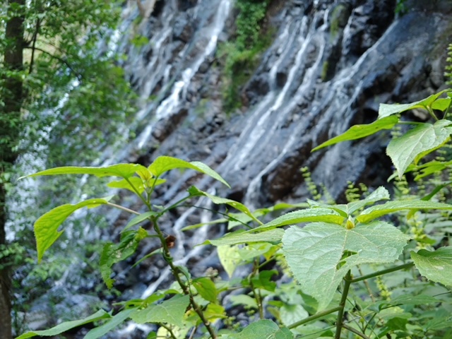 Narrativa del lugar. (Parte 2) Geología, Hidrología y Biología de Valle de Bravo.