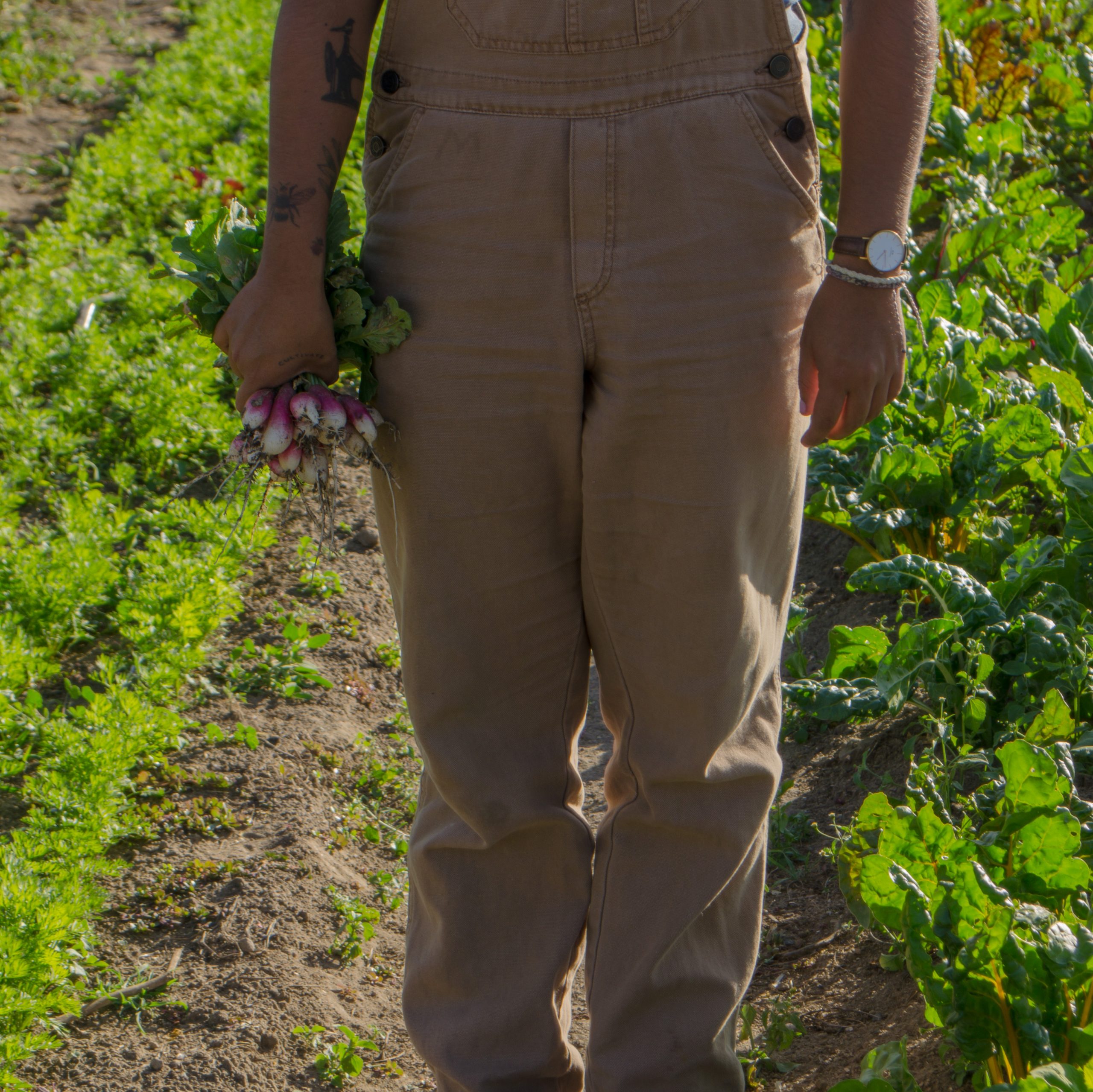 Liderazgo Femenino en la Transición de la agroecología
