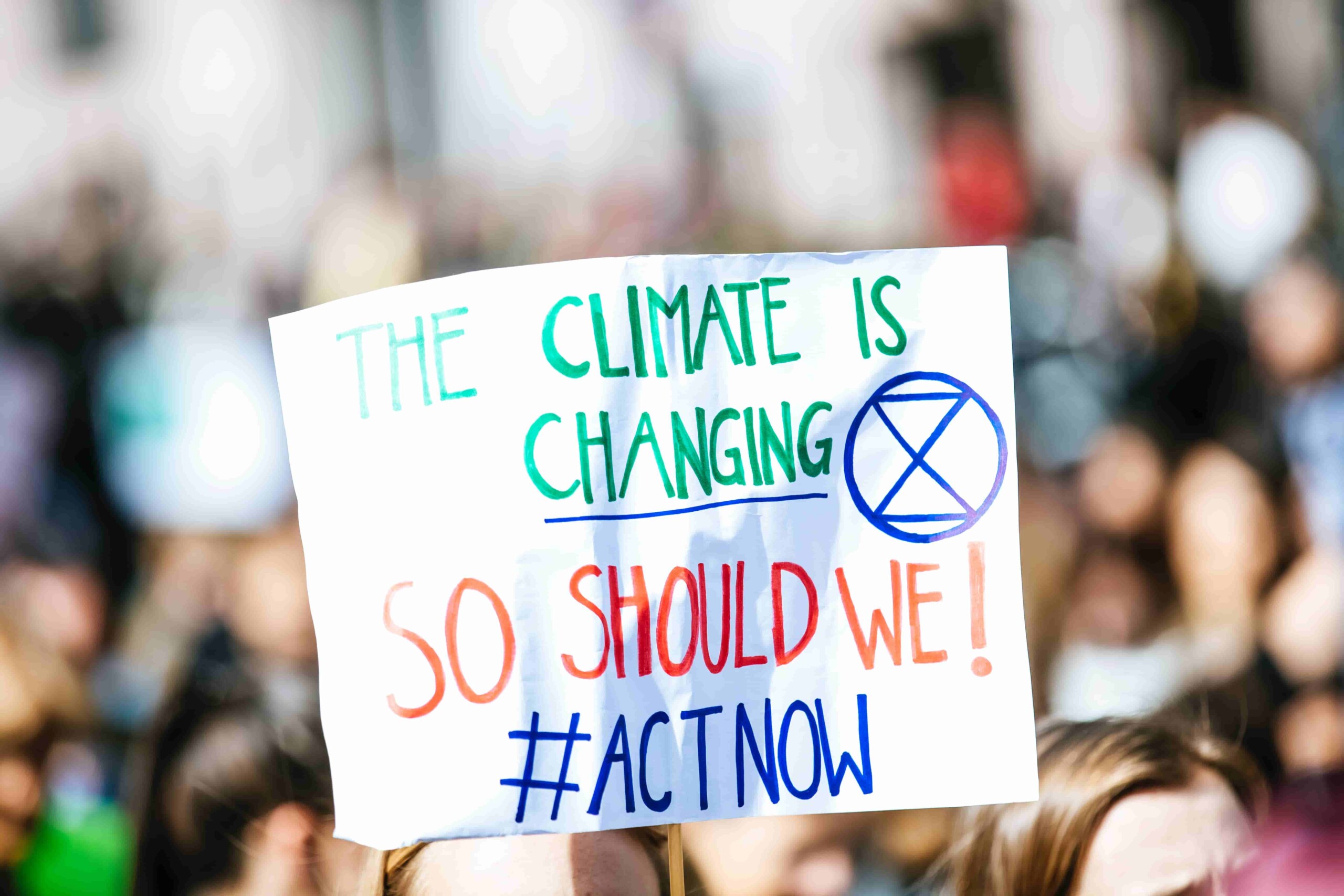 Educación Ambiental en la Era de la Ecoansiedad: De la Parálisis a la Acción