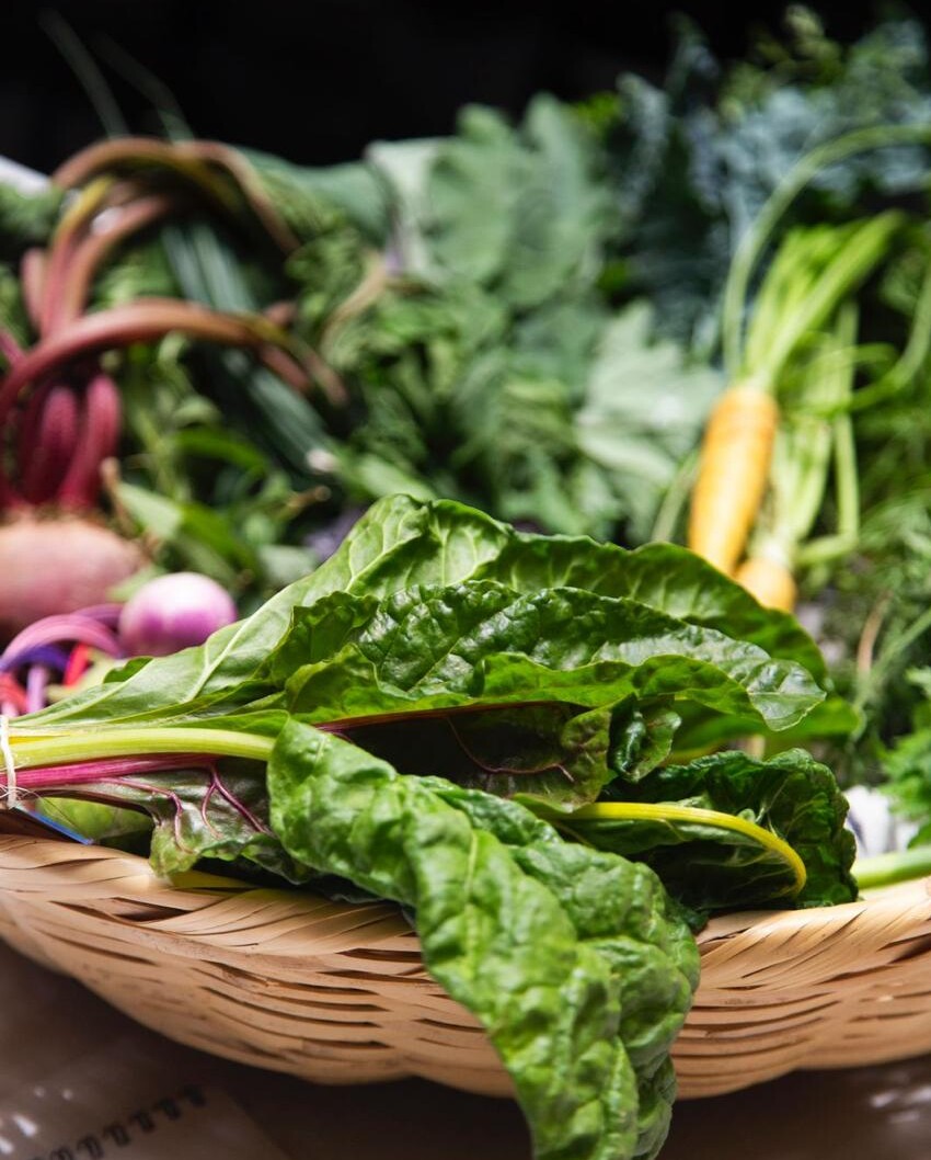 Agroecología como clave para la soberanía alimentaria